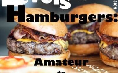 Levels of burger – from amateur to scientist