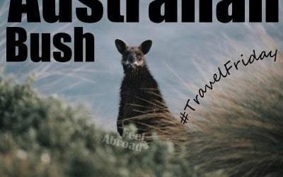 Surviving in the Australian Bush