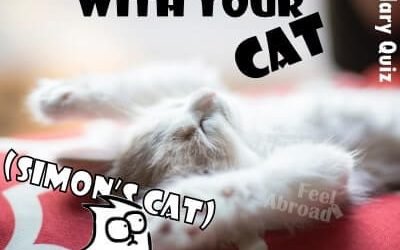 Watching TV with your cat (Simon’s cat)